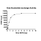 Kras Q61K Nucleotide Exchange Assay Kit